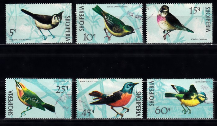 A12 S5 7 - Timbre foarte vechi - Albania - pasari exotice