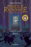 Cumpara ieftin Aventurile lui Dunga Cenusie. Seria Pisicile Razboinice. Razboinicul ratacit. Partea I. Manga/Erin Hunter, Galaxia Copiilor