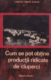 N. Mateescu - Cum se pot obține producții ridicate de ciuperci