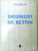 DRUMURI DE BETON de STAN JERCAN, 2002