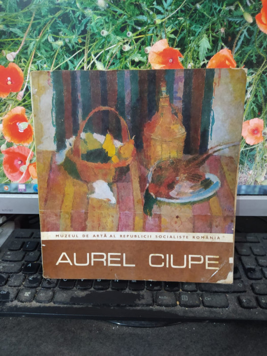 Aurel Ciupe, Expoziție retrospectivă, București-Cluj Napoca, mai-iulie 1980, 116