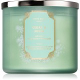 Bath &amp; Body Works Cedar &amp; Suede lum&acirc;nare parfumată 411 g