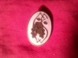 Insigna studenteasca interbelica - Facultatea de Silvicultura ,h=1,8cm