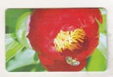 bnk card Cartela telefonica - 2003 80000 lei Flori 8