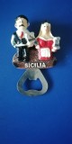 M3 C2 - Magnet frigider - Tematica turism - desfacator bere - Italia - 14