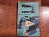 Plutonul de executie de Ecaterina Matache