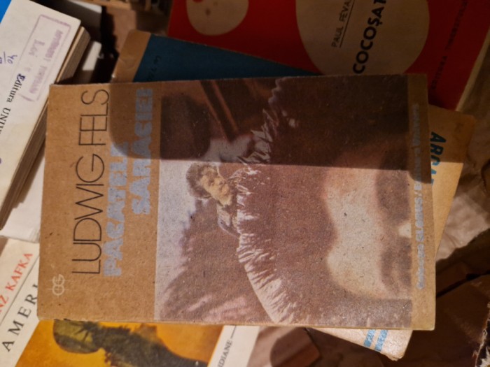 Păcatele sărăciei vintage