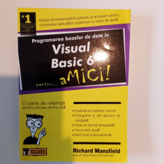 Programarea bazelor de date în visual Basic 6 pentru amici-R. Mansfield