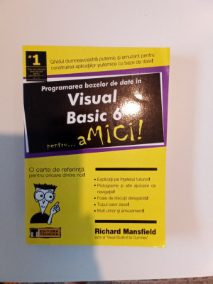 Programarea bazelor de date &amp;icirc;n visual Basic 6 pentru amici-R. Mansfield foto