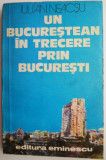 Un bucurestean in trecere prin Bucuresti &ndash; Iulian Neacsu