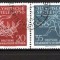 GERMANIA (DDR) 1956 &ndash; SPORT. JOCURI OLIMPICE. SERIE STAMPILATA, F143