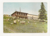 FA30-Carte Postala- POLONIA - Zakopane, circulata 1966, Fotografie