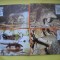 HOPCT MAXIMA NR 1067 SET 4 MAXIME PANGOLIN 1995 MACAO [ CHINA ] ASIA -FAUNA