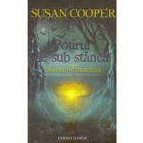 Susan Cooper - Taramul intunericului. Volumul I. Potirul de sub stanca - 135392