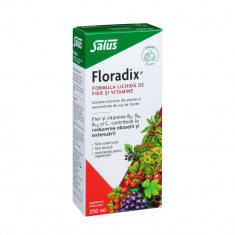 Formula lichida de fier si vitamine, Floradix, Salus, 250ml