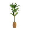 Planta decorativa artificiala Dracaena Fragrans &ndash; 1,1&ndash;1,2 m, verde Best CarHome