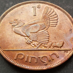 Moneda istorica 1 PENNY / PINGIN - IRLANDA, anul 1963 * cod 3373