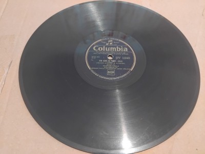 Disc patefon/gramofon Cristian Vasile - Dunarea albastra, DV 1240 foto