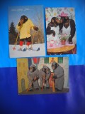 HOPCT LOT NR 1008 MAIMUTA / MAIMUTE -FAUNA -3 CARTI POSTALE-CIRCULATE, Circulata, Printata