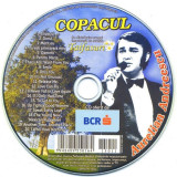 CD Aurelian Andreescu &lrm;&ndash; Copacul, original, Pop