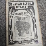 Soiuri de vite cultivate in Romania - I.C. Teodorescu