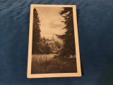 Carte postala necirculata - Castelul Peles / Sinaia !, Printata