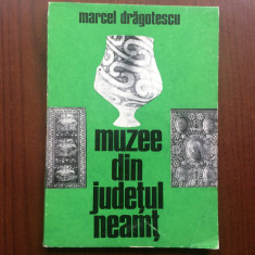 MUZEE DIN JUDETUL NEAMT M. DRAGOTESCU arta muzeu istorie ed. meridiane 1974 RSR