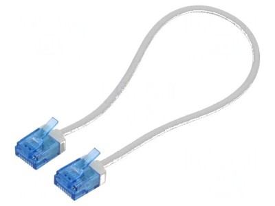 Cablul Patch U/UTP 6a Cu LSZH gri 0,25m 32AWG foto