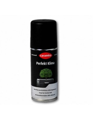 Spray curatare sistem aer conditionat Caramba 100ml foto