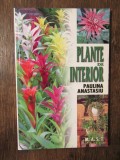 Plante de interior - Paulina Anastasiu