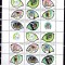 Aruba 2012 fauna pisici MI 673-680 MNH w57