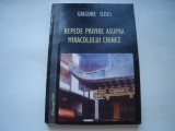 Repede privire asupra miracolului chinez - Grigore Ilisei, 2004, Alta editura