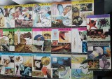 REINO ANIMAL PARA NINOS (17 vol.) -Aves x 3*Reptiles y anfibios x 2*Peces x 2*Moluscos*Crustaceos*Insectos x 3*Equinodermos*Fondo marino*Domesticos x3