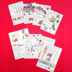 Planse de Hematologie