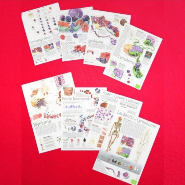 Planse de Hematologie