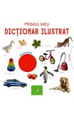 Primul meu dictionar ilustrat. Bebe invata - Editura Litera