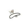 Set pompa apa + curea dintata RENAULT KANGOO GRAND KANGOO KW0 1 DAYCO KTBWP2591