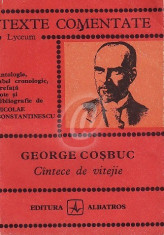 George Cosbuc - Cantece de vitejie foto