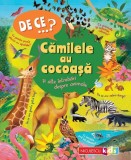 DE CE&hellip;? Camilele au cocoaşa şi alte intrebari despre animale, Anita Ganeri