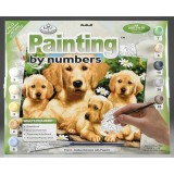 Pictura creativa pe numere avansati Golden Retriever, Jad