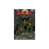 Teenage Mutant Ninja Turtles: The Ultimate Collection, Vol. 1