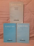 FAUST/SUFERINTELE TANARULUI WERTHER-JOHANN WOLFGANG GOETHE (3 VOL)