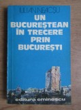 Iulian Neacsu - Un bucurestean in trecere prin Bucuresti