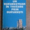 Iulian Neacsu - Un bucurestean in trecere prin Bucuresti