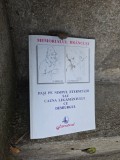 Memorialul Br&acirc;ncuși. Pasi pe nisipul eternitatii sau cauza legamantului cu demiurgul - Ilarie Hinoveanu