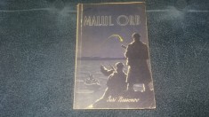 IURI BESSONOV - MALUL ORB foto