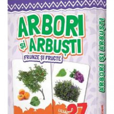 Arbori si arbusti, frunze si fructe. 27 de cartonase