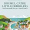 Drumul catre Little Dribbling
