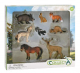 Set de 8 figurine pictate manual animale din padure, Collecta
