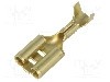 Terminal tip plat, pentru surub {{Orificiu pentru &amp;#351;urub}}, TE Connectivity - 5-160506-1